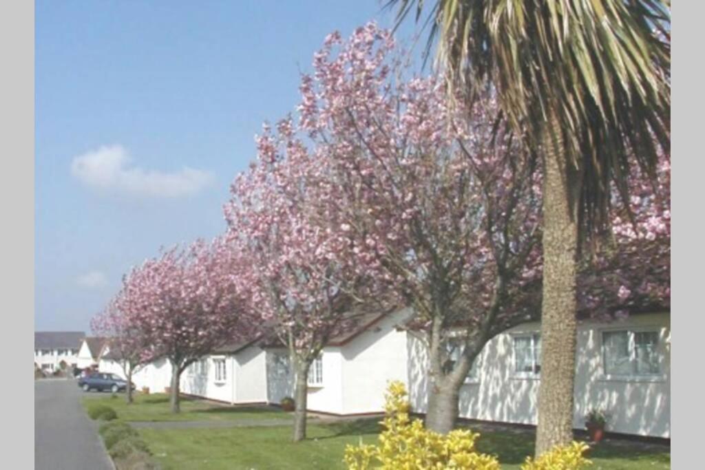 Perfect For The Family And Beaches - Gower Cwtch Villa Swansea Esterno foto